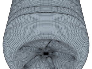 oil bottle 2 liter Modelo 3D