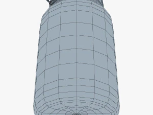 jar hermetic 2 liter v 1 3D Model