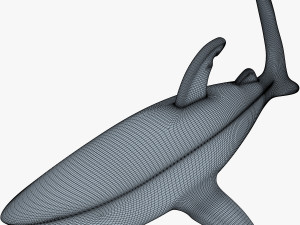 shark v 1 3D 模型