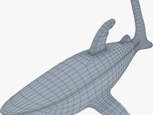 shark v 1 3D 模型