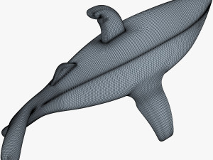 shark v 1 3D 模型
