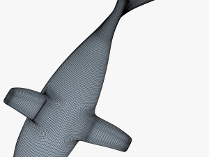 shark v 1 3D 模型