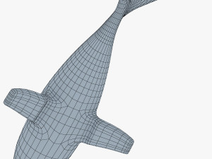 shark v 1 3D 模型