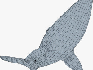 shark v 1 3D 模型