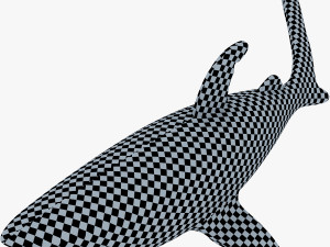 shark v 1 3D 模型