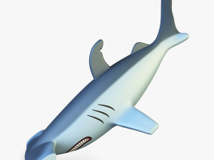 hammerhead shark v 1 3D Model