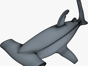 hammerhead shark v 1 3D-Modell