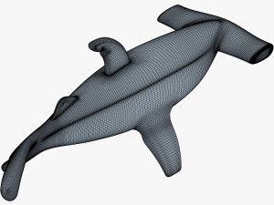 hammerhead shark v 1 3D-Modell
