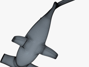 hammerhead shark v 1 3D-Modell