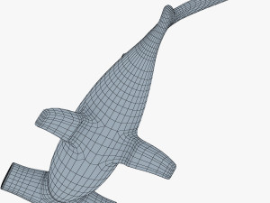 hammerhead shark v 1 3D-Modell