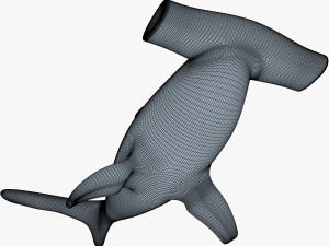 hammerhead shark v 1 3D-Modell