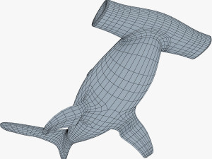 hammerhead shark v 1 3D-Modell