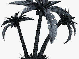 palm tree v 2 3D Model