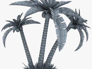 palm tree v 2 3D Model