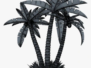 palm tree v 2 3D Model