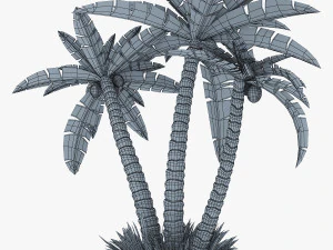 palm tree v 2 3D Model