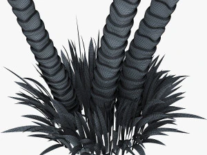 palm tree v 2 3D Model