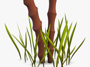palm tree v 3 3D Model