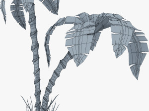 palm tree v 3 3D Model