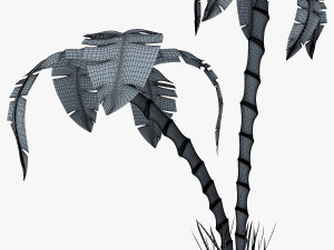 palm tree v 3 3D Model