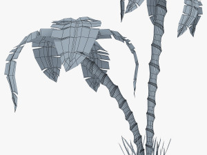 palm tree v 3 3D Model
