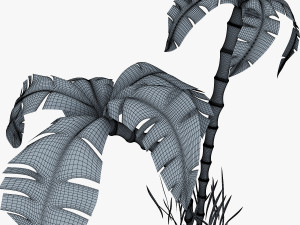 palm tree v 3 3D Model