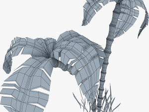 palm tree v 3 3D Model