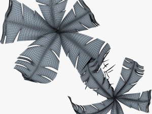 palm tree v 3 3D Model