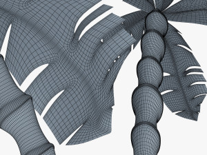 palm tree v 3 3D Model