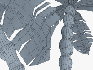palm tree v 3 3D Model