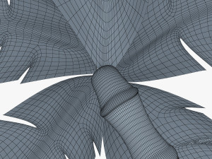 palm tree v 3 3D Model