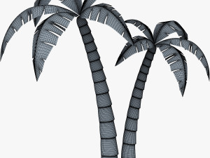 palm tree v 4 Modèle 3D