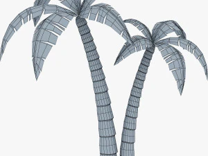 palm tree v 4 3D Model