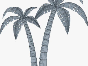 palm tree v 4 3D Model