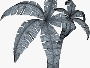 palm tree v 4 Modèle 3D