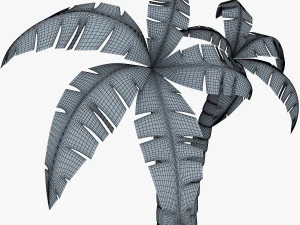 palm tree v 4 3D Model