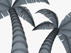 palm tree v 4 3D Model