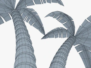 palm tree v 4 3D Model