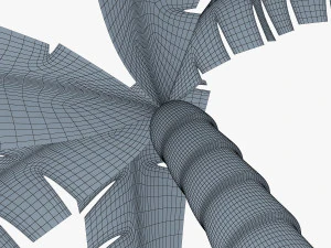 palm tree v 4 3D Model