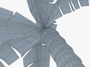 palm tree v 4 3D Model