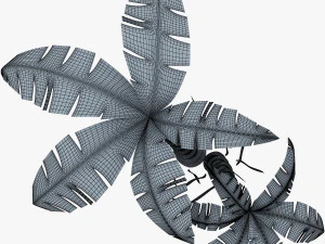 palm tree v 5 3D Model