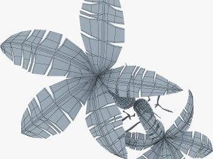palm tree v 5 3D Model