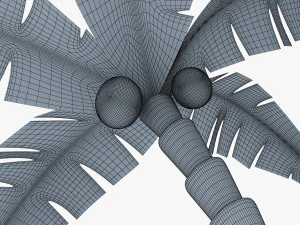 palm tree v 5 3D Model
