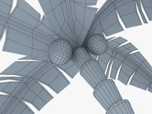 palm tree v 5 3D Model