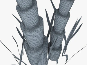 palm tree v 5 3D Model