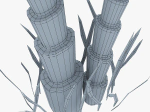 palm tree v 5 3D Model