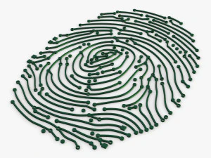 electronic fingerprint v 1 3D Model