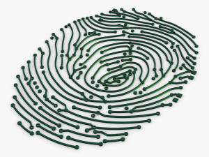 electronic fingerprint v 1 Modèle 3D