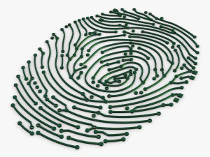 electronic fingerprint v 1 3D Model