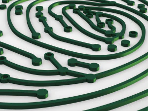 electronic fingerprint v 1 3D Model